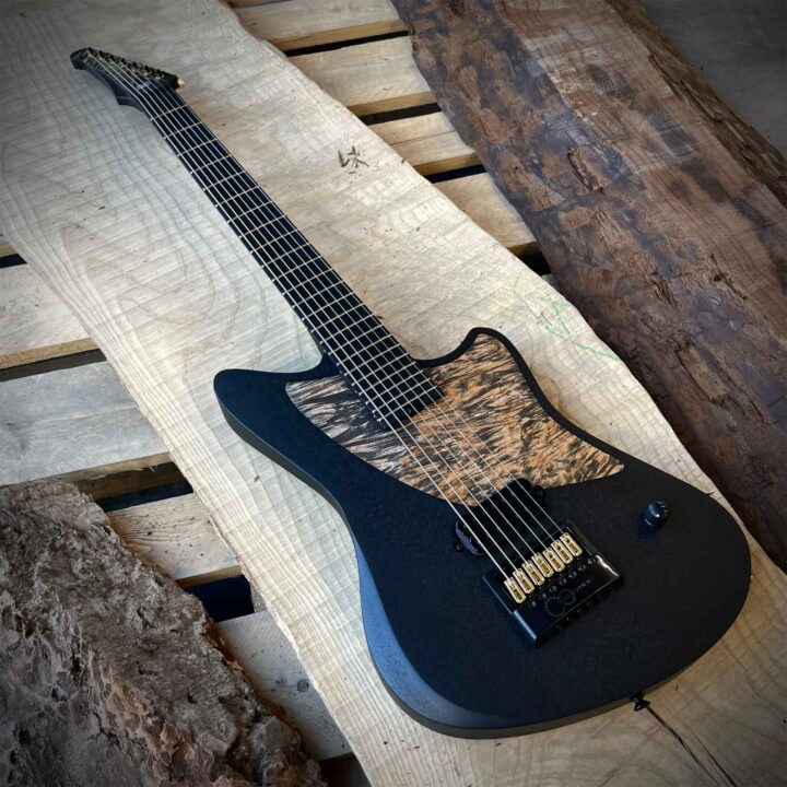 Hapas Judge 728 ET Master Grade Pickguard